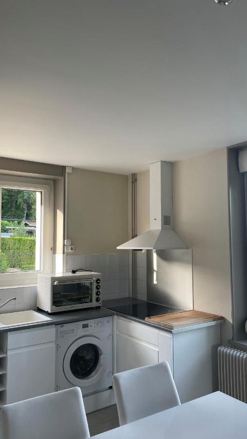Appartement La Fourmi Verte Bruyeres Exterior foto